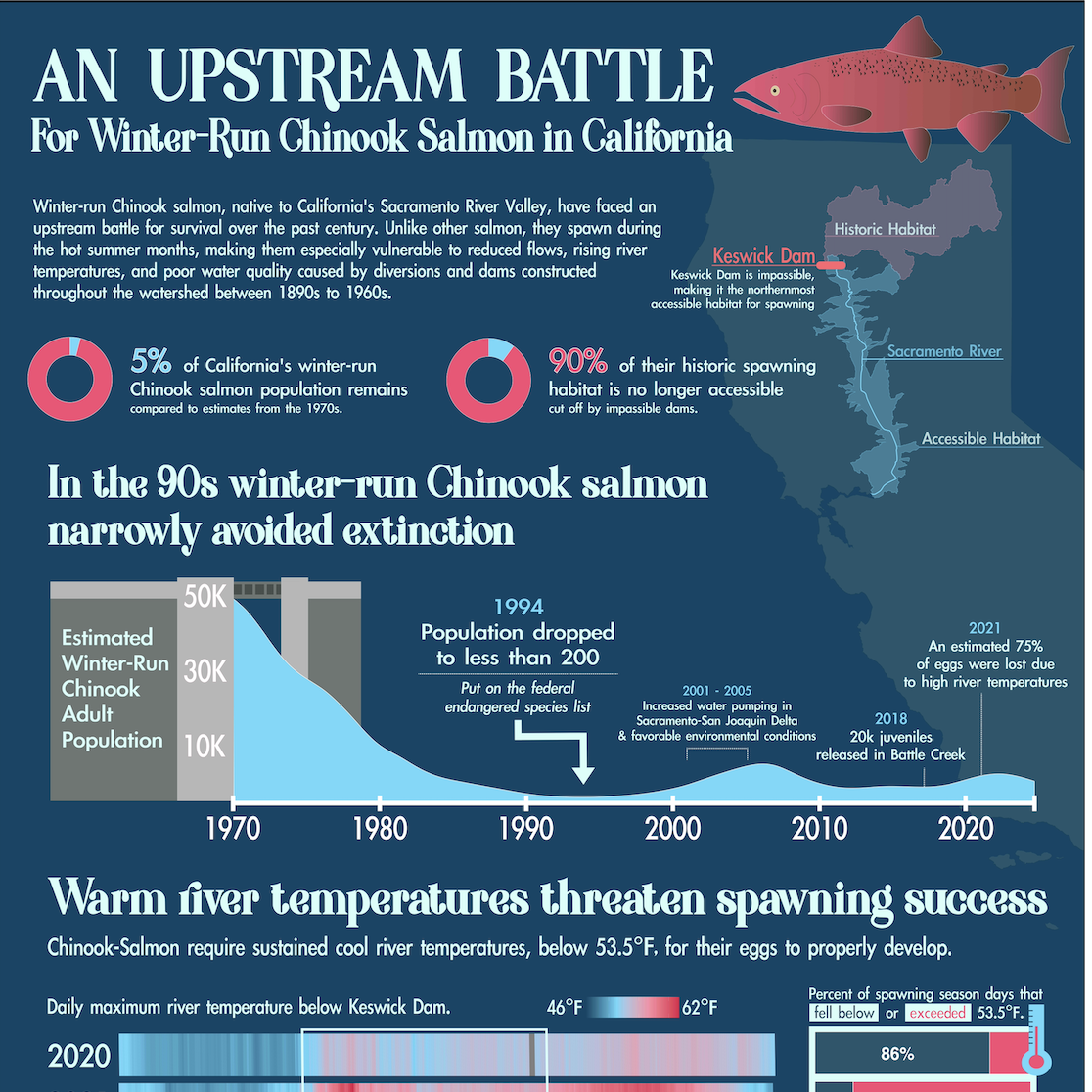 An Upstream Battle