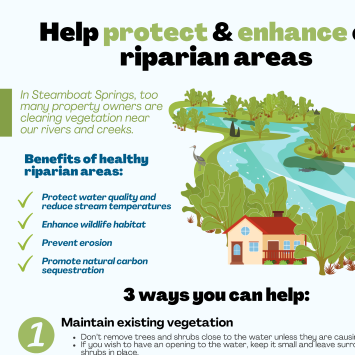 Riparian Areas