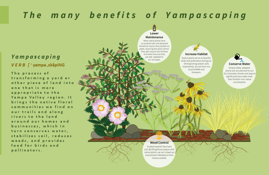 Benefits of Yampascaping.